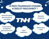 Maglownica: Za co odpowiada? Objawy awarii i co robić.