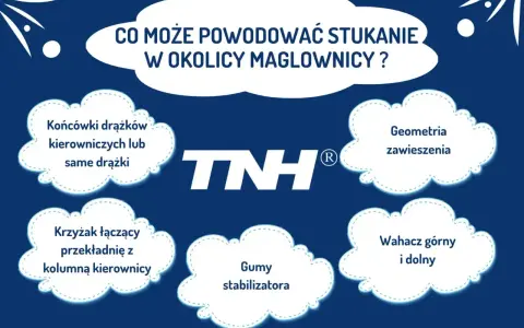 Maglownica: Za co odpowiada? Objawy awarii i co robić.